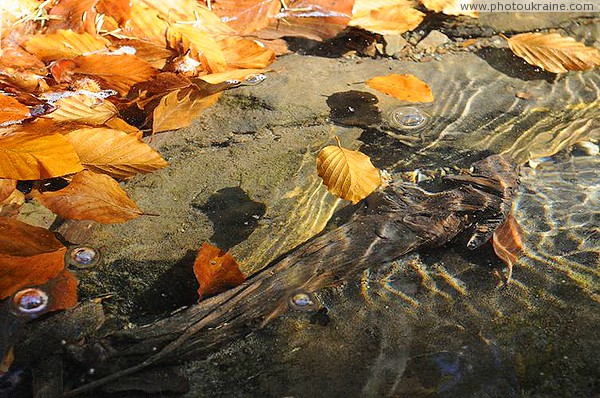 Maniavsky monastery. Running water at the Blessed Stone Ivano-Frankivsk Region Ukraine photos